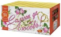 Салют Салют да любовь ЕС553 в Северодвинске доставка ФейерЛэнд