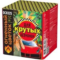 Салют Для крутых девчонок New ОС8326 в Северодвинске доставка Огненный Цветок